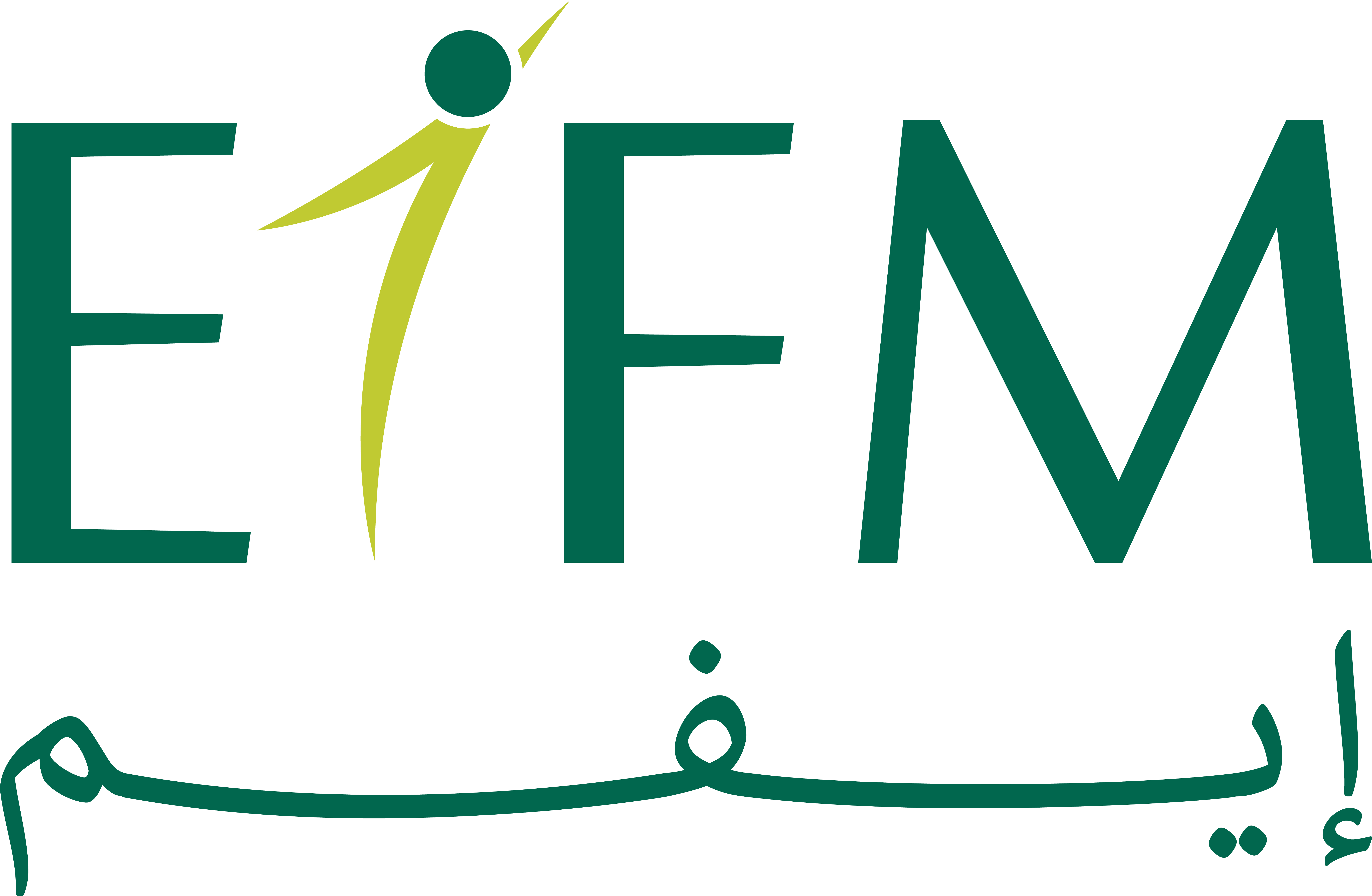 EIFM